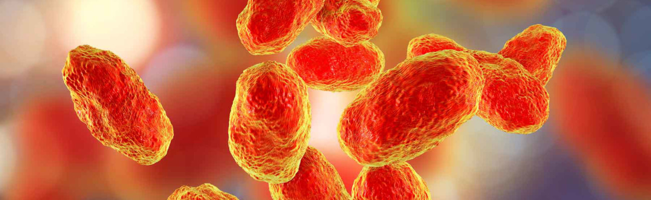 Zapalenia Opon Mózgowo-Rdzeniowych i Zapalenia Mózgu o Etiologii Haemophilus influenzae typu B w Polsce w 2021 roku.