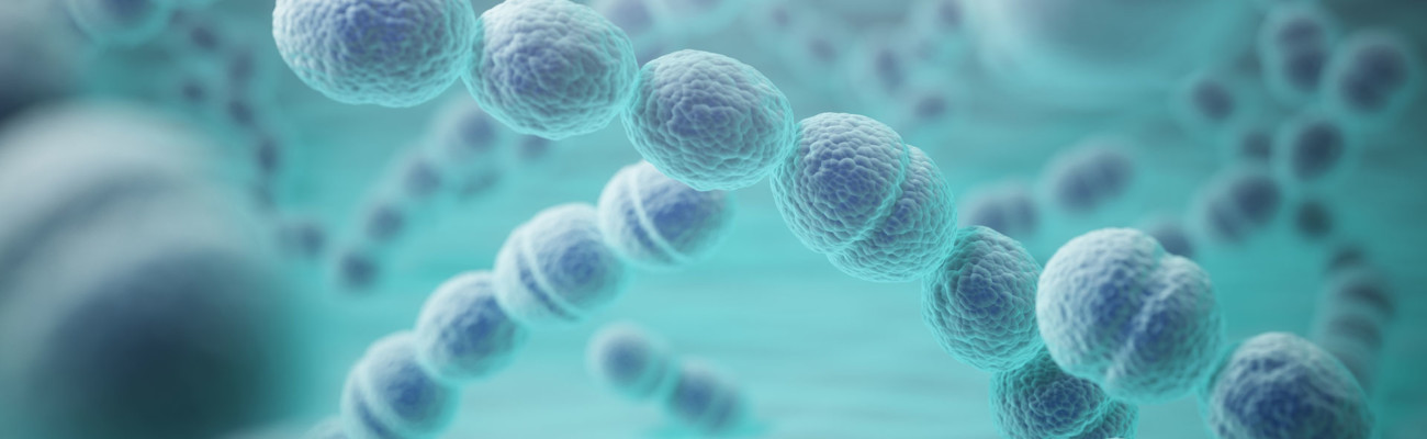 Zapalenia Opon Mózgowo-Rdzeniowych i Zapalenia Mózgu o Etiologii Streptococcus pneumoniae w Polsce w 2021 roku.